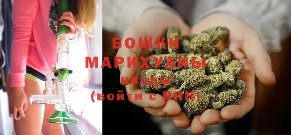 PSILOCYBIN Балахна