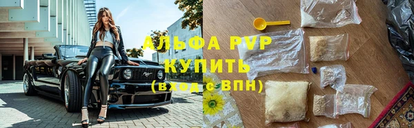 шишки Баксан
